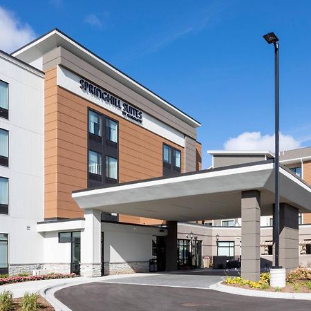 Springhill Suites Minneapolis Maple Grove/Arbor Lakes Экстерьер фото